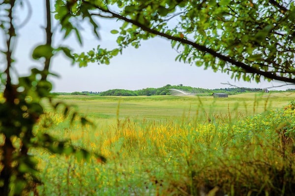 Foto van Vakantiehuis op Ameland bij Golfbaan - Vakantiehuis in Hollum - AreaSummer1KM