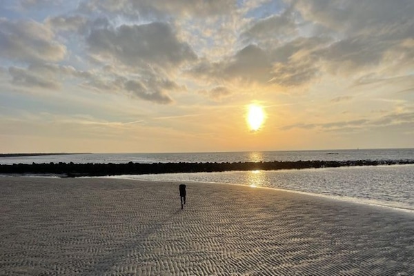 Foto van Vakantiehuis op Ameland bij Golfbaan - Vakantiehuis in Hollum - AreaSummer5KM