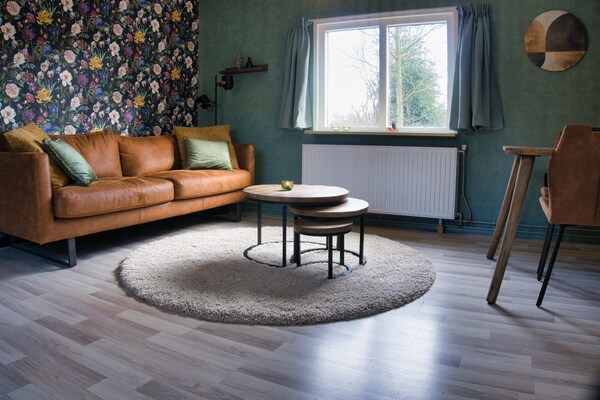 Foto van Gezellig Vakantiehuis in Schoonloo in een heerlijke omgeving. - LivingRoom