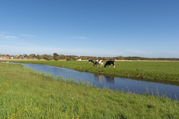 Foto van Villa met uitzicht over het park De Buitenplaats - Vakantiehuis in Callantsoog - AreaSummer5KM