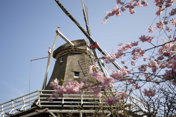 Foto van Vakantiehuis in  - Vakantiehuis in  - Untagged