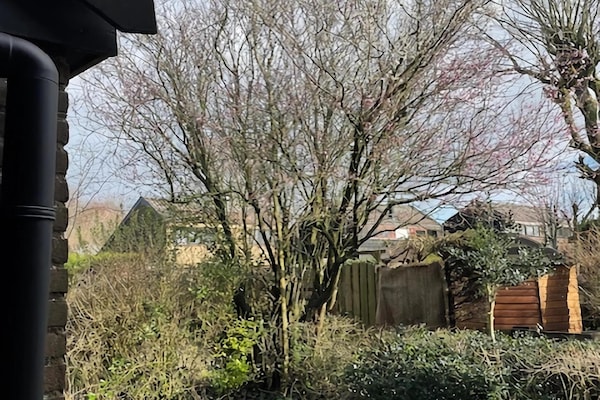 Foto van Vakantiehuis Warmenhuizen bij Duinen - Vakantiehuis in Warmenhuizen - Ambiance