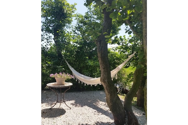 Foto van Blauwe Cottage Callantsoog - Vakantiehuis in CALLANTSOOG, NIEDERLANDE - Untagged