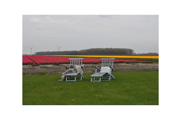 Foto van Blue Barn Callantsoog - Vakantiehuis in CALLANTSOOG - Untagged
