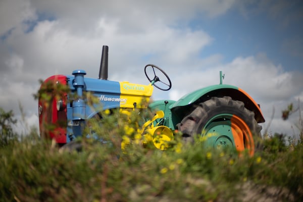 Foto van Rolstoelvriendelijke retraite - Vakantiehuis in Callantsoog - Ambiance