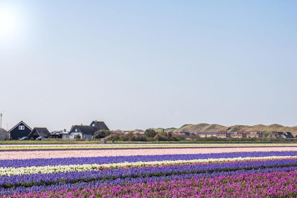 Foto van Rolstoelvriendelijke retraite - Vakantiehuis in Callantsoog - AreaSummer20KM