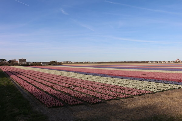 Foto van Vakantiehuis in  - Vakantiehuis in  - Untagged