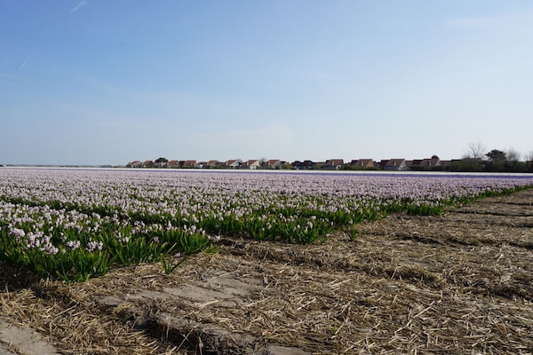 Foto van Vakantiehuis in  - Vakantiehuis in  - Untagged