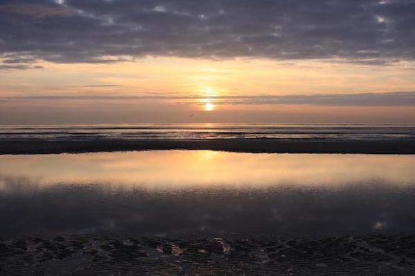 Foto van Bungalow voor 4 personen nabij de duinen van Texel - AreaSummer5KM