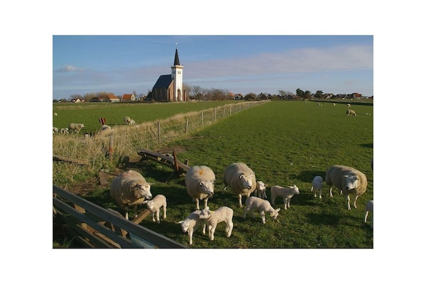 Foto van Vakantiehuis in  - Vakantiehuis in  - Untagged
