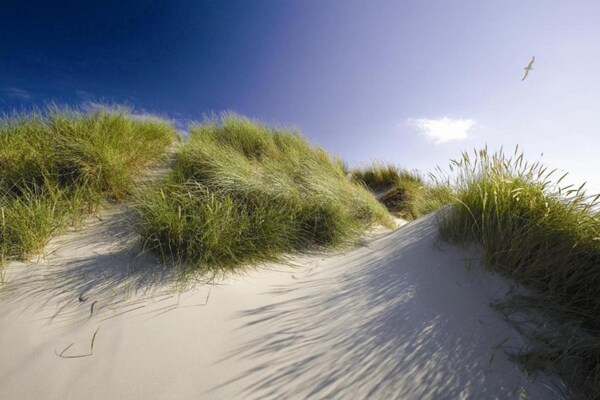 Foto van Appartement op Texel bij De Koog Centrum - Vakantiehuis in De Koog Texel - AreaSummer20KM