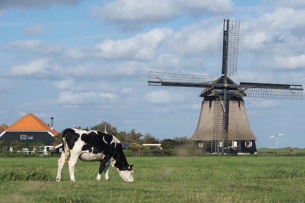 Foto van Boerderij in Schoorl met zwembad - Vakantiehuis in Schoorl - Untagged