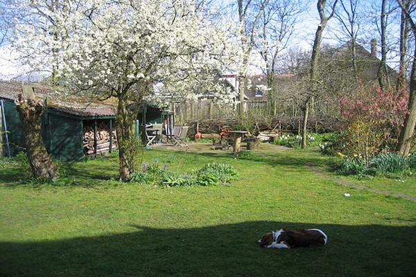 Foto van Atelier aan Zee - Vakantiehuis in Groet - Untagged