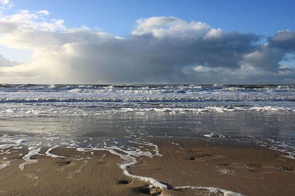 Foto van Centraal aan Zee - Vakantiehuis in Egmond aan Zee - Untagged