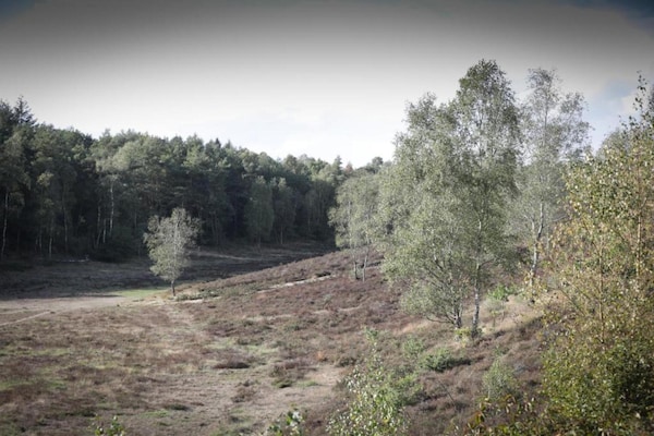 Foto van Romantische loft met tuinterras - Vakantiehuis in Ermelo - AreaSummer5KM