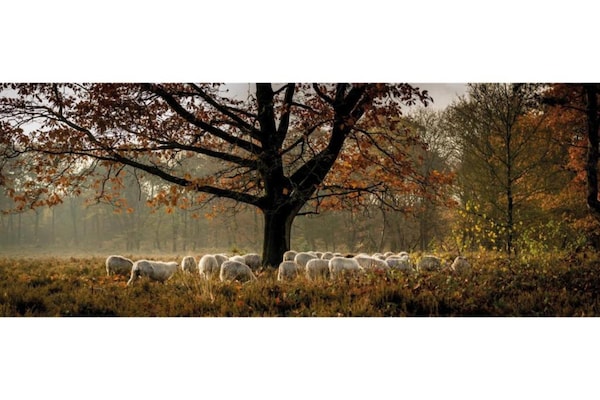 Foto van Romantische loft met tuinterras - Vakantiehuis in Ermelo - AreaSummer5KM