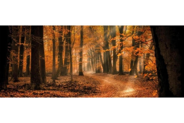 Foto van Romantische loft met tuinterras - Vakantiehuis in Ermelo - AreaSummer5KM