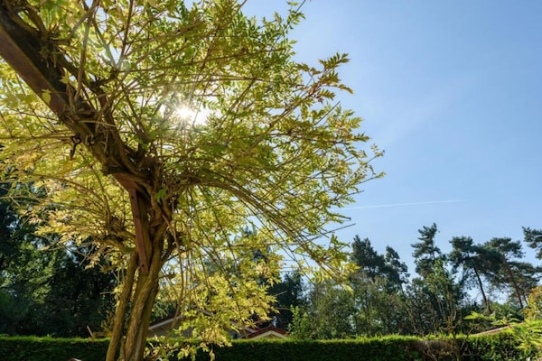 Foto van Bungalow in Veluwe bij Harderwijk - Vakantiehuis in Putten - AreaSummer5KM