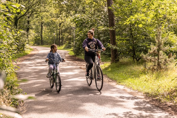 Foto van Ontspan & Kom tot Rust in Putten - Vakantiehuis in Putten - AreaSummer1KM