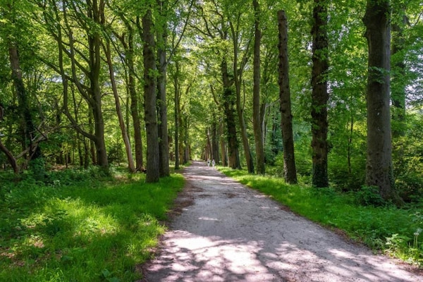 Foto van Waterlodge in Nederland met Terras - Vakantiehuis in Zeewolde - AreaSummer20KM