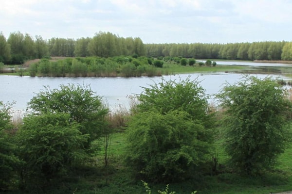 Foto van Waterlodge in Nederland met Terras - Vakantiehuis in Zeewolde - AreaSummer20KM