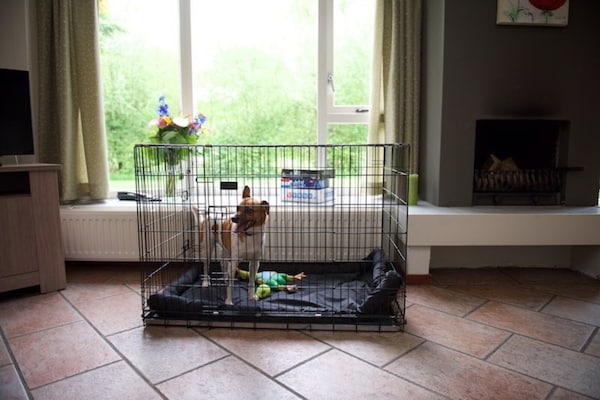 Foto van Familiehuis in Scherpenzeel bij natuurpaden - Vakantiehuis in Scherpenzeel - Ambiance