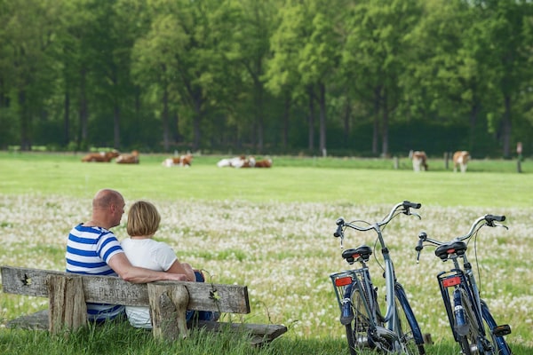 Foto van Villa in Scherpenzeel bij Veluwebos - Vakantiehuis in Scherpenzeel - AreaSummer5KM