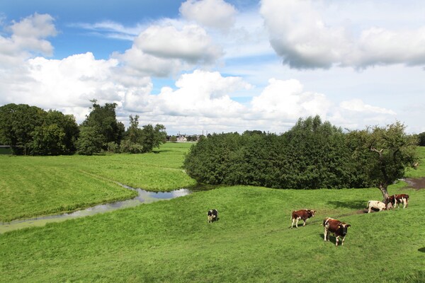 Foto van Boerderij in Oosterwijk bij de Linge - Vakantiehuis in Leerdam - ViewSummer