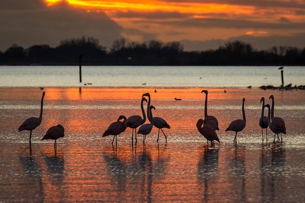 Foto van Villa in Aquadelta met Kindvriendelijke Details - Vakantiehuis in Bruinisse - AreaSummer20KM