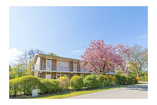 Foto van Vakantiehuis in  - Vakantiehuis in  - Untagged