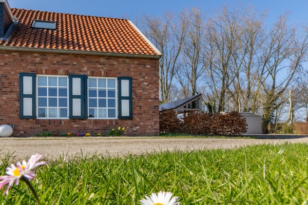 Foto van Vakantiehuis in Koudekerke bij Strand - Vakantiehuis in Koudekerke - ExteriorSummer