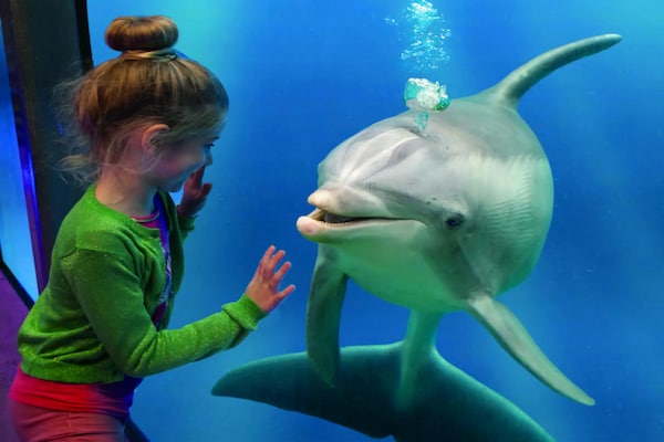 Foto van Bungalow in Breskens bij Strand en Vuurtoren - Vakantiehuis in Breskens - AreaSummer20KM