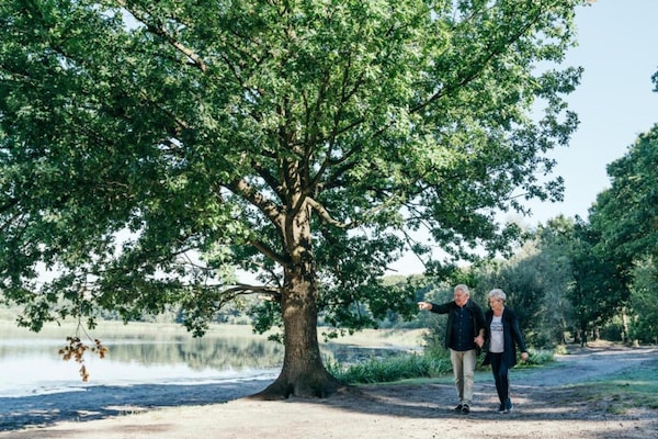 Foto van Tiny House in Brabant met Terras - Vakantiehuis in Oirschot - AreaSummer20KM