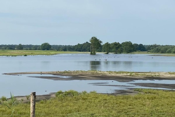 Foto van Huisje in Leenderbos bij natuurgebied - Vakantiehuis in Leende - AreaSummer20KM