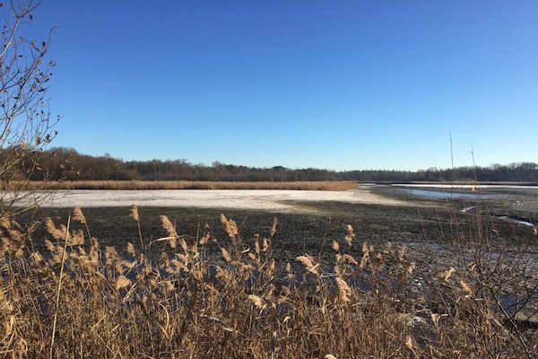 Foto van Huisje in Leenderbos bij natuurgebied - Vakantiehuis in Leende - AreaSummer20KM
