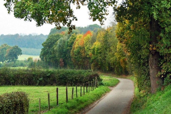 Foto van Huisje in Leenderbos bij natuurgebied - Vakantiehuis in Leende - AreaSummer20KM