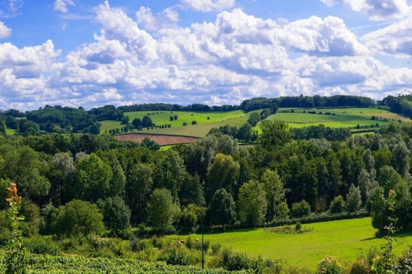 Foto van Huisje in Leenderbos bij natuurgebied - Vakantiehuis in Leende - AreaSummer20KM