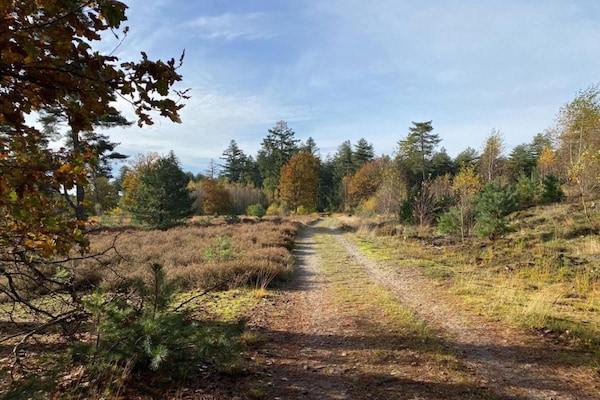 Foto van Huisje in Leenderbos bij natuurgebied - Vakantiehuis in Leende - AreaSummer20KM