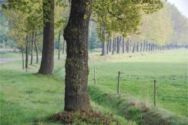 Foto van Huisje in Leenderbos bij natuurgebied - Vakantiehuis in Leende - AreaSummer20KM