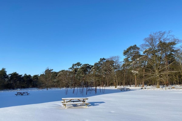 Foto van Huisje in Leenderbos bij natuurgebied - Vakantiehuis in Leende - AreaWinter20KM