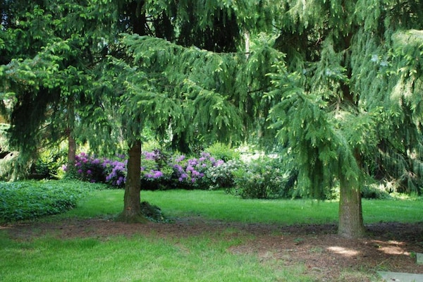 Foto van Villa in Klein Vink met Thermaalbad toegang - Vakantiehuis in Arcen - AreaSummer20KM