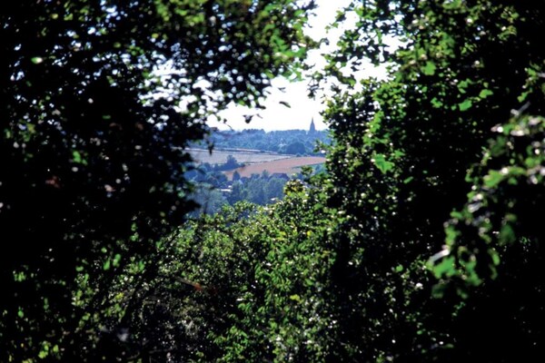 Foto van Villa in Klein Vink met Thermaalbad toegang - Vakantiehuis in Arcen - AreaSummer20KM