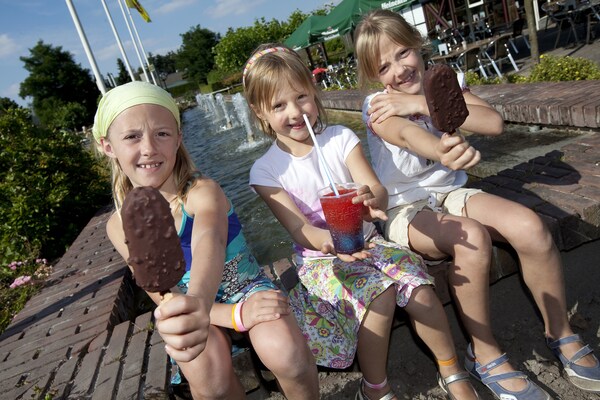 Foto van Villa in Klein Vink met Thermaalbad toegang - Vakantiehuis in Arcen - Ambiance