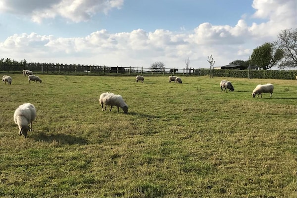 Foto van Vakantiehuis in Sittard met Zwembad - Vakantiehuis in Sweikhuizen - AreaSummer20KM
