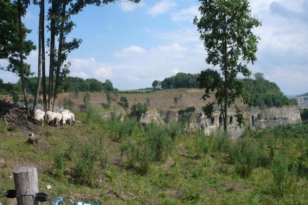 Foto van Stijlvolle villa met open haard - Vakantiehuis in Maastricht - AreaSummer20KM