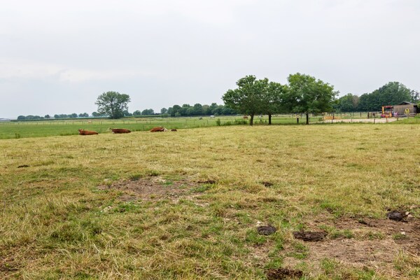 Foto van Gezellig comfortabel vakantiehuis bij de boer in Horssen met een tuin - AreaSummer1KM