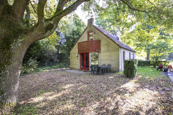 Foto van Saunabungalow aan het meer voor 4 - Vakantiehuis in Ewijk - ExteriorSummer