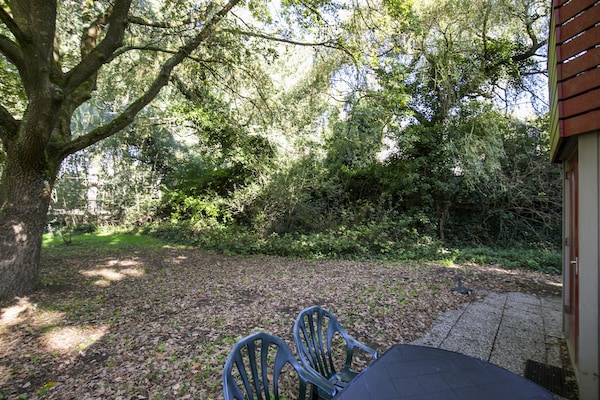 Foto van Saunabungalow aan het meer voor 4 - Vakantiehuis in Ewijk - GardenSummer