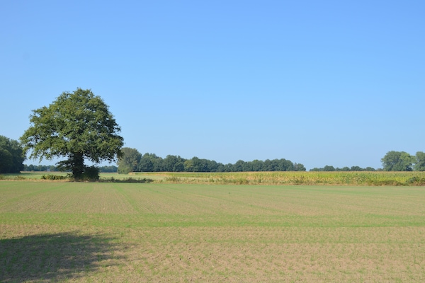 Foto van Boerderij in Geesteren bij Bos - Vakantiehuis in Geesteren - GardenSummer