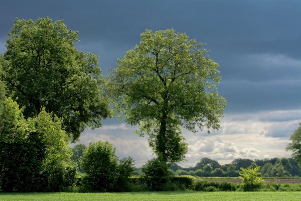 Foto van Boerderij in Geesteren bij Bos - Vakantiehuis in Geesteren - GardenSummer